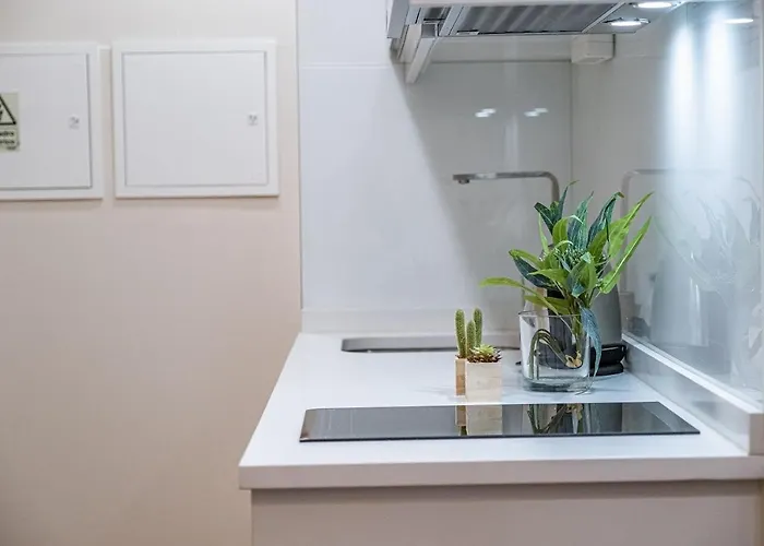 Urban Paradise By Homie * Funchal (Madeira)